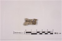 藏品(癩屑衣屬)的圖片